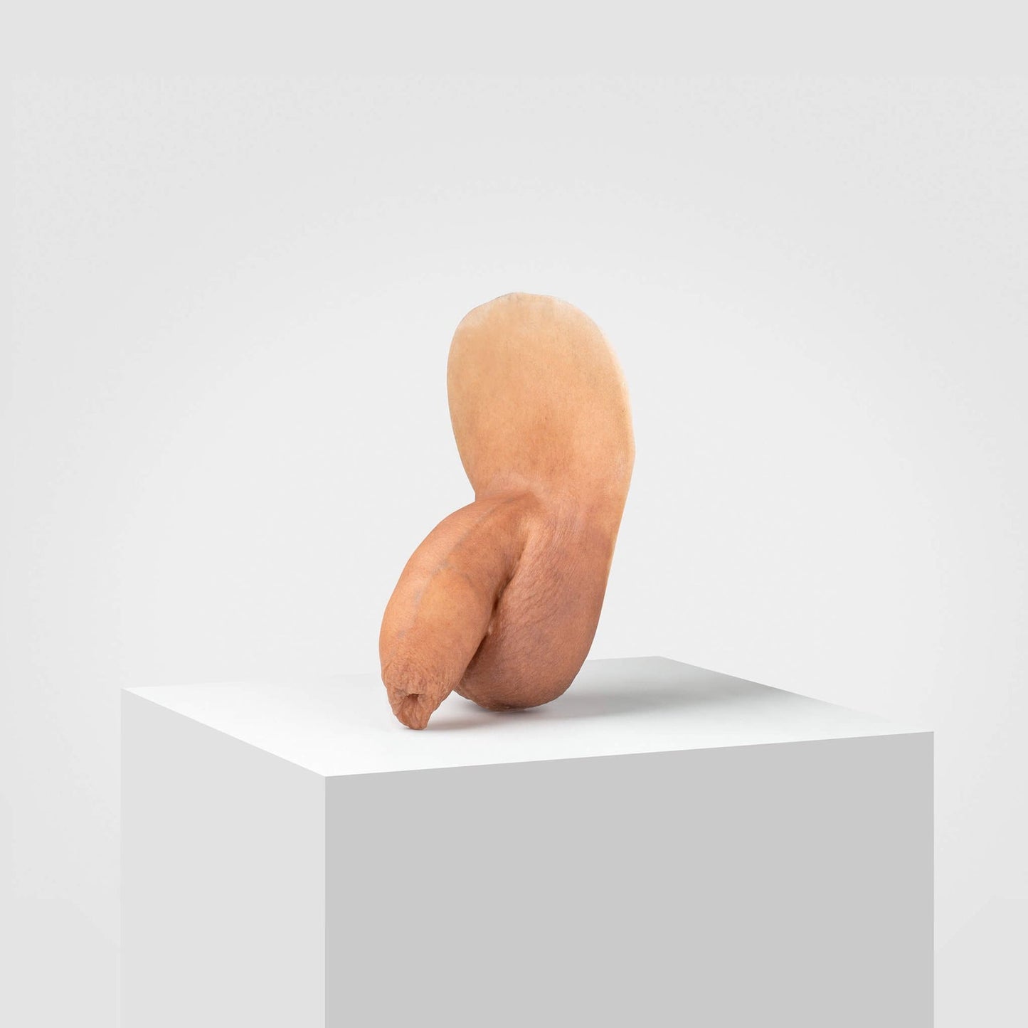 Leroy (FL05) – soft packer