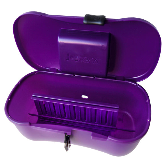 Lockable storage box for sex toys and packers