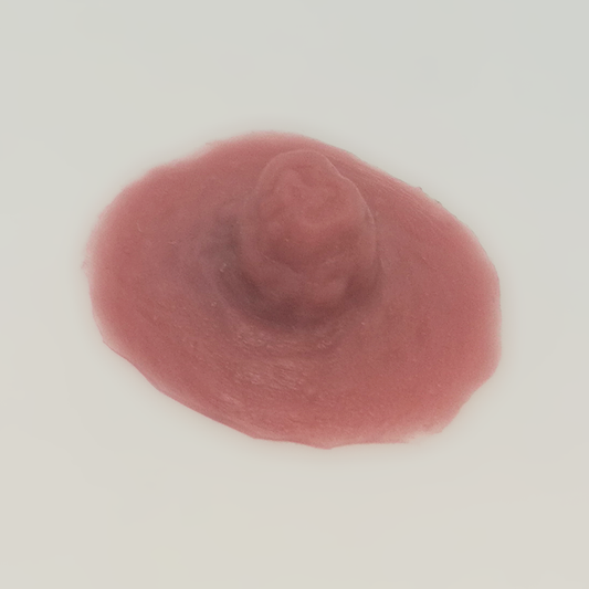 Silicone nipple prosthesis