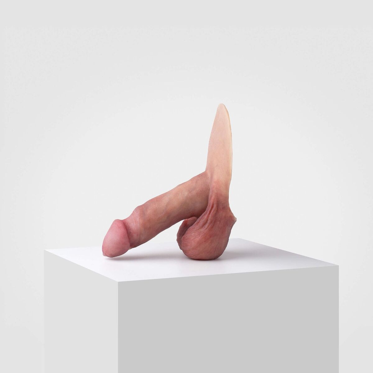 Lollipop (ER04) - Pack&amp;Play prosthesis